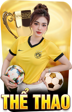 thể thao New88